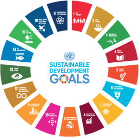 sustainability goal wheel